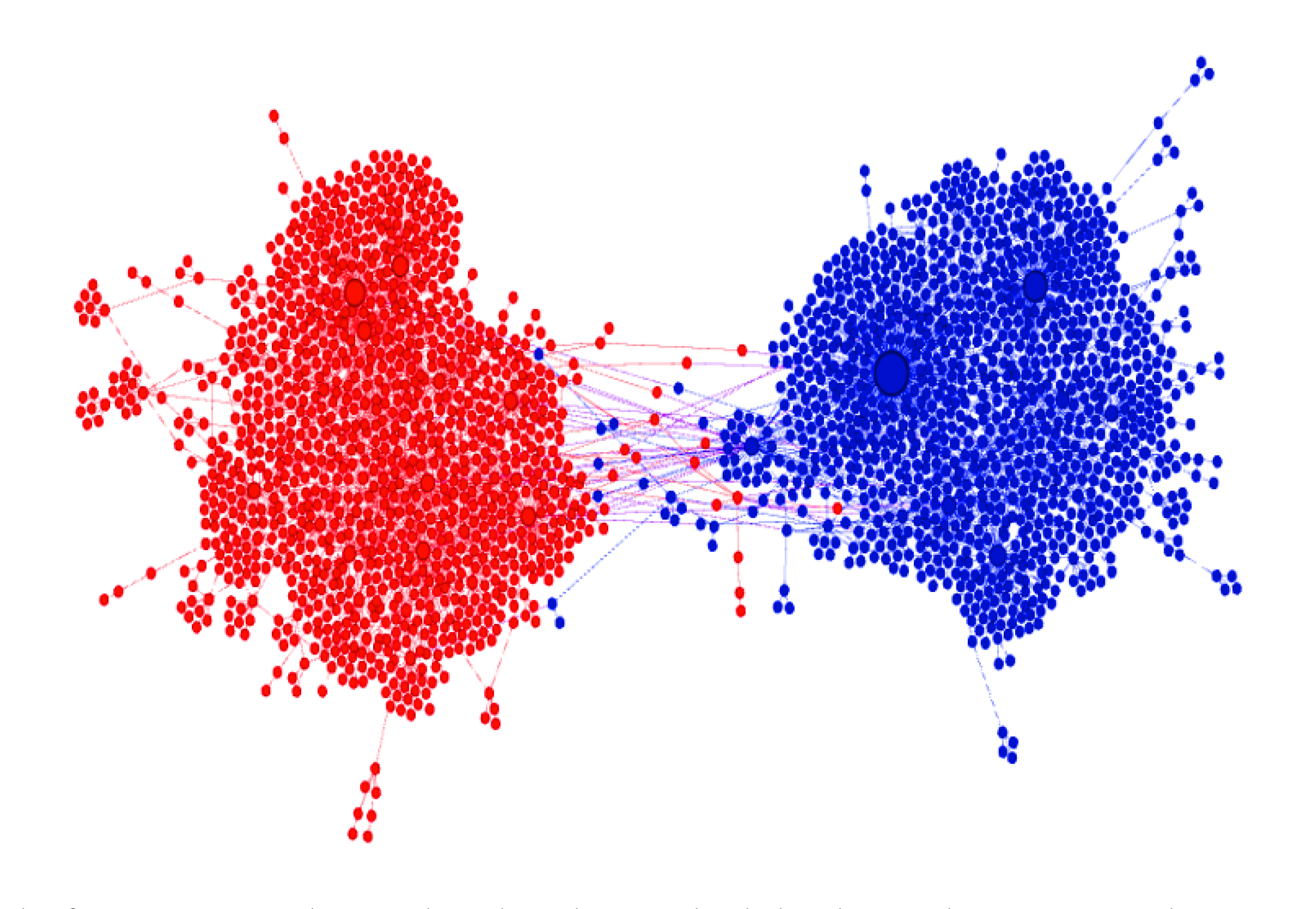 Figura 1. Cámaras de eco. En esta gráfica se representa como nodos, o círculos, a los usuarios de redes sociales. Las líneas que conectan a los usuarios son sus interacciones digitales a través de retweets. El color de los nodos corresponde a una posición positiva (rojo) o negativa (azul) respecto a un tema. Se observa cómo la gente con opiniones similares interacciona más entre sí y de este modo se adquiere una falsa sensación de consenso. Tomado de23.
