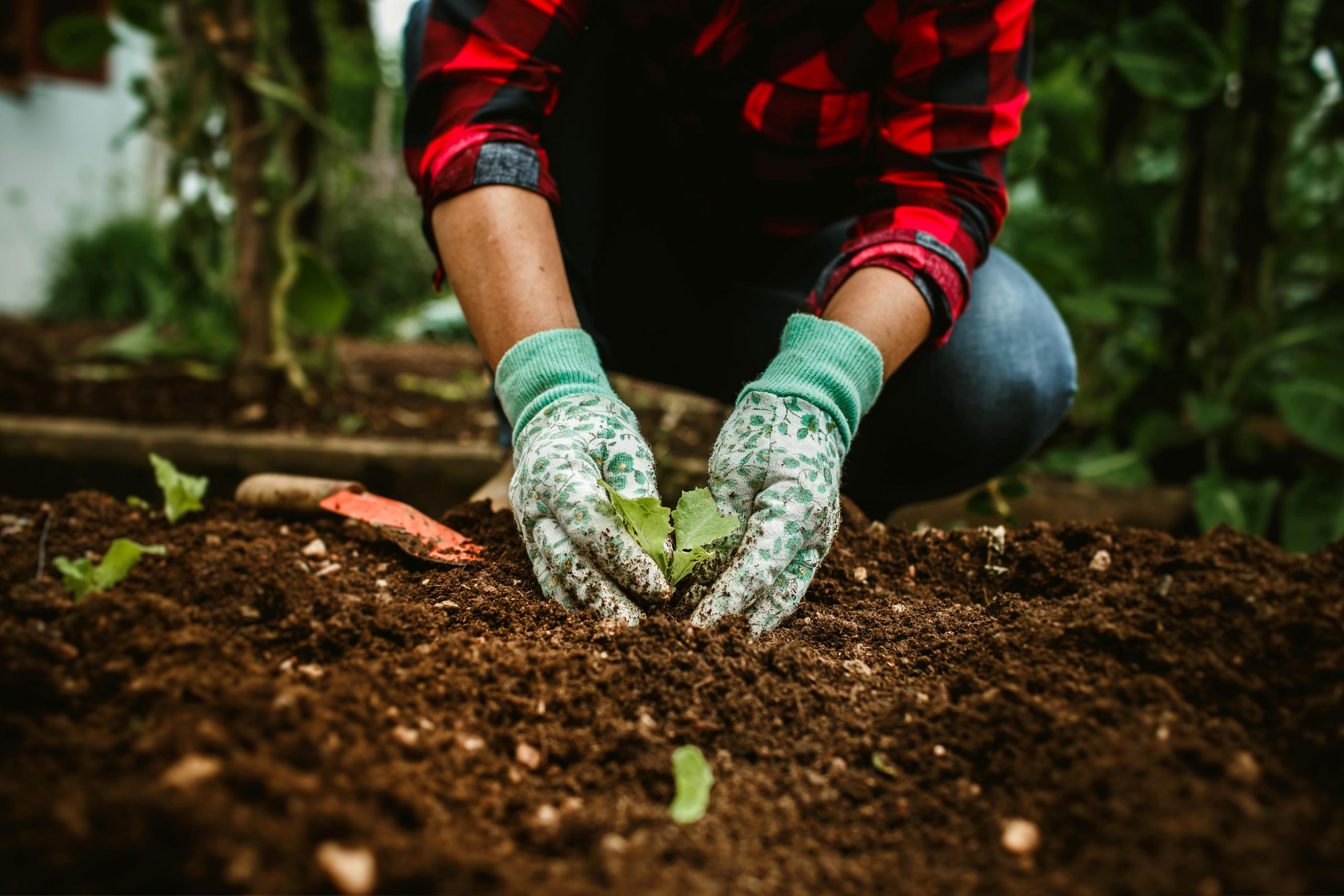 Todo lo que crece: la agricultura regenerativa