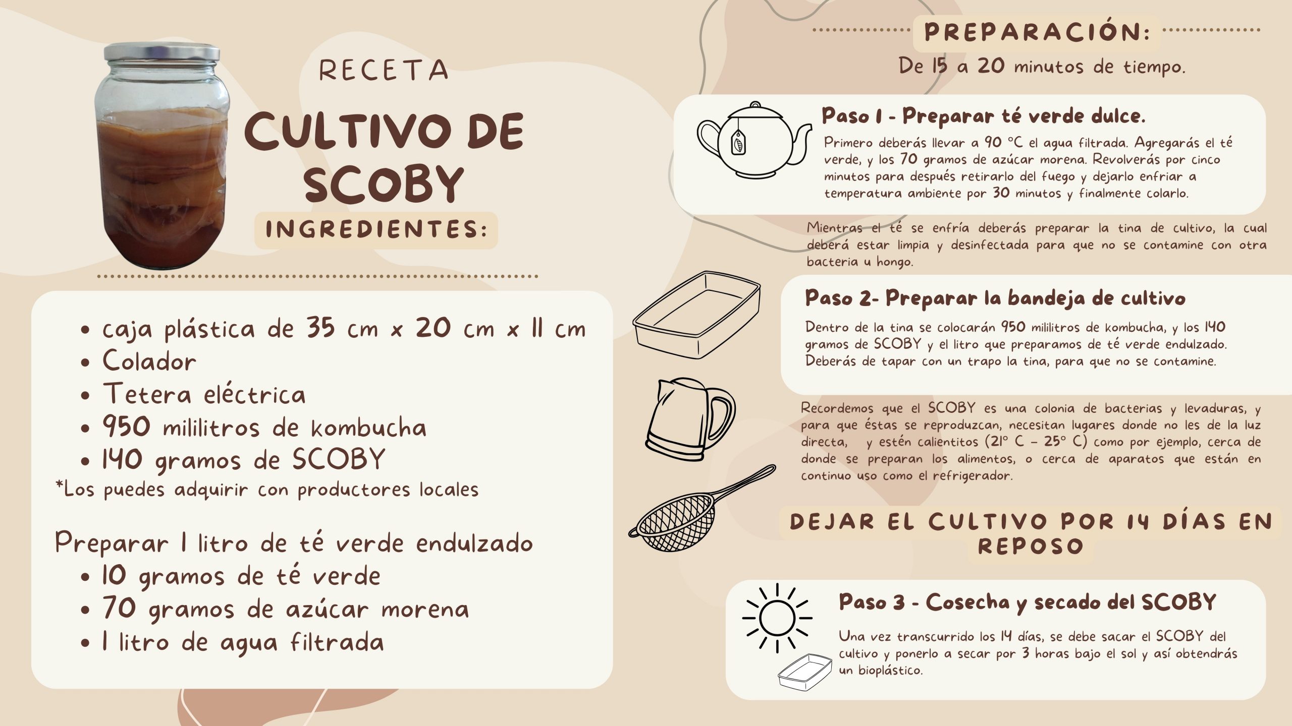 Receta para cultivar SCOBY en casa.
