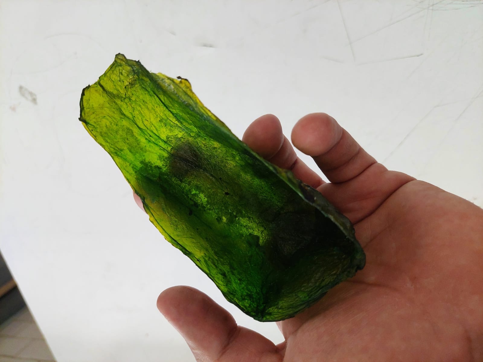 SCOBY: una membrana contra el plástico