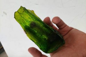 SCOBY: una membrana contra el plástico