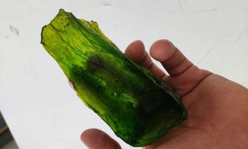SCOBY: una membrana contra el plástico SCOBY: una membrana contra el plástico